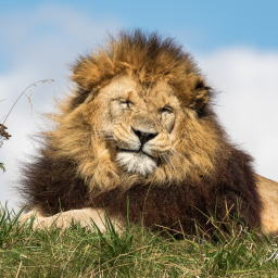 2016-09-18_12-54-07_Copyright_Henk-Dekker.nl_0268