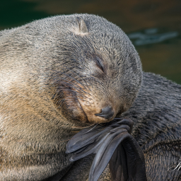 2016-09-18_15-18-09_Copyright_Henk-Dekker.nl_0270