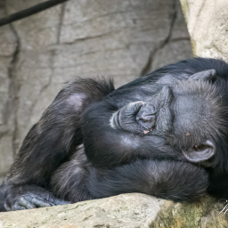 2018-08-05_11-33-28_Copyright_Henk-Dekker.nl_0427