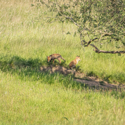 2019-05-23_09-18-59_Henk-Dekker.nl