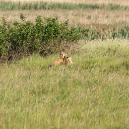 2019-05-23_09-27-23_Henk-Dekker.nl