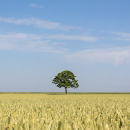 2019-06-30_09-48-21_Henk-Dekker.nl