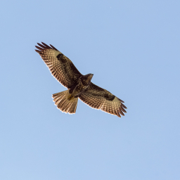2019-07-23_15-23-57_Henk-Dekker.nl