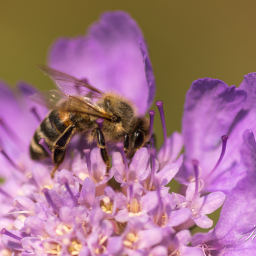 2019-07-29_11-50-57_Copyright_Henk-Dekker.nl_0495