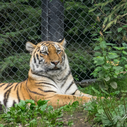 2019-08-05_12-06-37_Copyright_Henk-Dekker.nl_0512