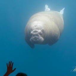 2019-08-05_13-17-30_Copyright_Henk-Dekker.nl_0514