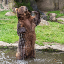 2019-08-05_14-17-54_Copyright_Henk-Dekker.nl_0516