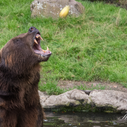 2019-08-05_14-18-28_Copyright_Henk-Dekker.nl_0517