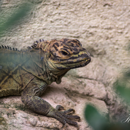 2019-08-05_14-38-45_Copyright_Henk-Dekker.nl_0519