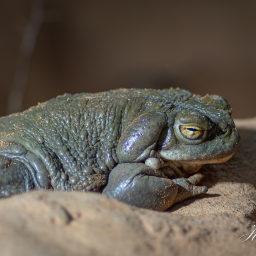 2019-08-05_14-47-06_Copyright_Henk-Dekker.nl_0522