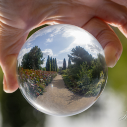 2019-08-11_10-36-09_Copyright_Henk-Dekker.nl_0535