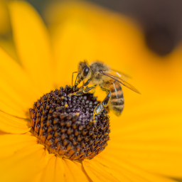 2019-08-11_10-42-01_Henk-Dekker.nl