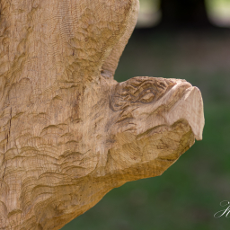 2019-08-11_12-39-36_Copyright_Henk-Dekker.nl_0542