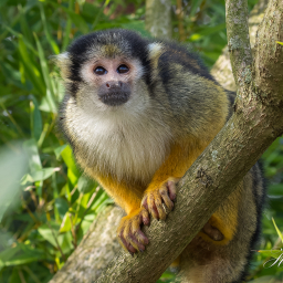 2020-02-26_14-41-11_Copyright_Henk-Dekker.nl_0565