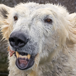 2020-03-04_11-44-46_Copyright_Henk-Dekker.nl_0566