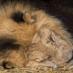 2020-03-04_13-35-23_Copyright_Henk-Dekker.nl_0568