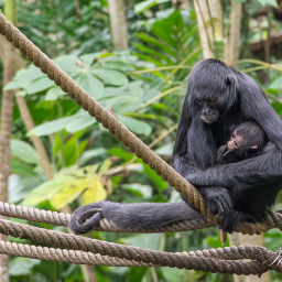 2020-03-04_14-49-31_Copyright_Henk-Dekker.nl_0571