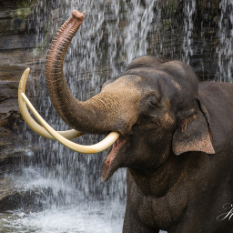 2020-03-04_15-34-43_Copyright_Henk-Dekker.nl_0572