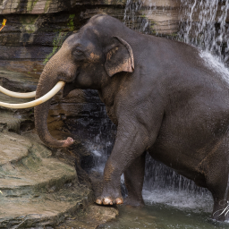 2020-03-04_15-39-09_Copyright_Henk-Dekker.nl_0573