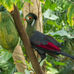 2020-05-22_10-45-12_Copyright_Henk-Dekker.nl_0582