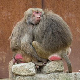 2020-05-22_11-51-00_Copyright_Henk-Dekker.nl_0587