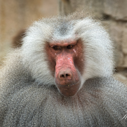 2020-05-22_11-51-50_Copyright_Henk-Dekker.nl_0588