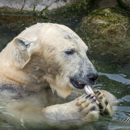 2020-05-22_12-09-47_Copyright_Henk-Dekker.nl_0590