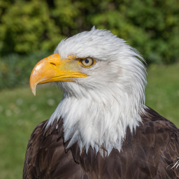 2025-07-01_09-37-01_Copyright_Henk-Dekker.nl_0893