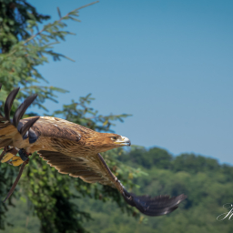 2025-07-01_11-08-15_Copyright_Henk-Dekker.nl_0900