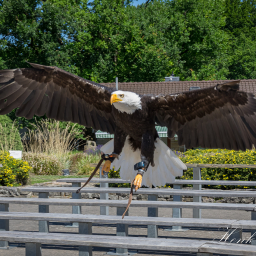 2025-07-01_11-16-18_Copyright_Henk-Dekker.nl_0902