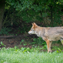 2025-07-24_10-05-01_Copyright_Henk-Dekker.nl_0917