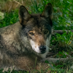 2025-07-24_11-18-17_Copyright_Henk-Dekker.nl_0925