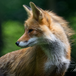 2025-07-24_12-04-11_Copyright_Henk-Dekker.nl_0932