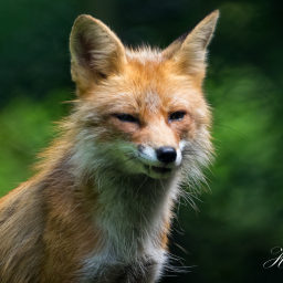 2025-07-24_12-04-13_Copyright_Henk-Dekker.nl_0933