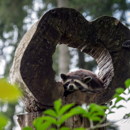 2025-07-24_13-41-08_Copyright_Henk-Dekker.nl_0936