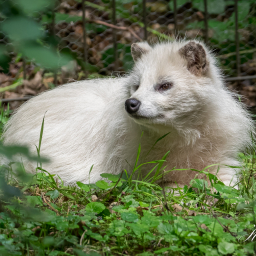 2025-07-24_13-47-48_Copyright_Henk-Dekker.nl_0938