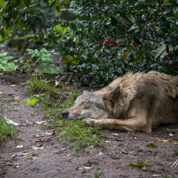 2025-10-13_11-19-25_Copyright_Henk-Dekker.nl_0943