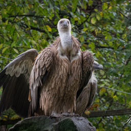 2025-10-13_12-05-53_Copyright_Henk-Dekker.nl_0945